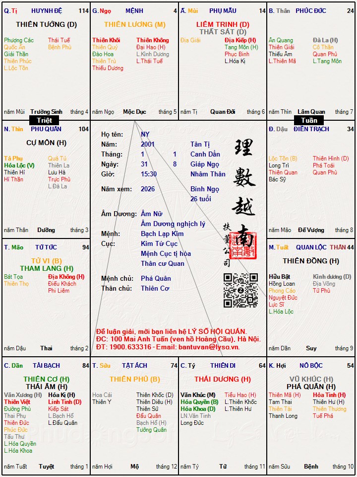 Hình ảnh