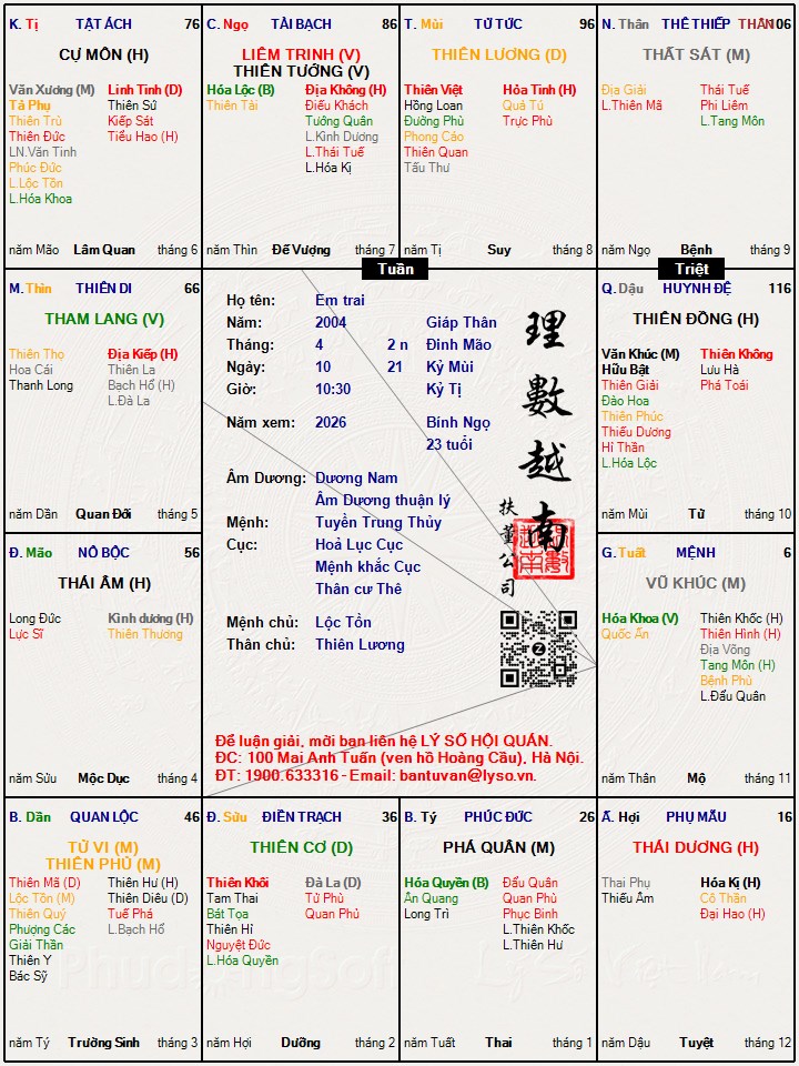 Hình ảnh