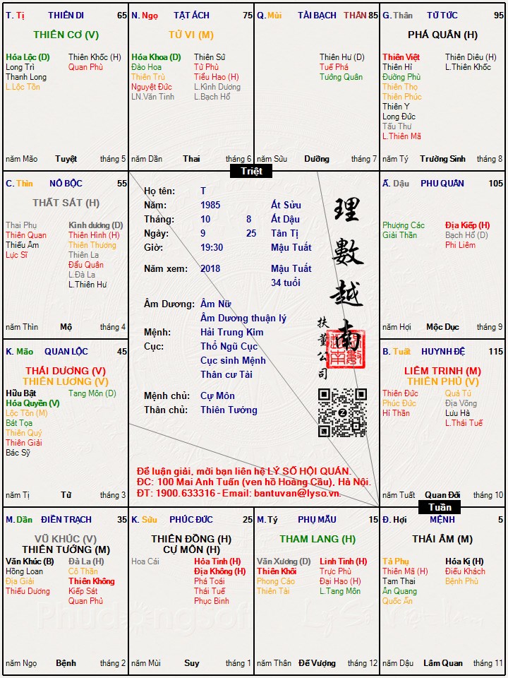 Hình ảnh