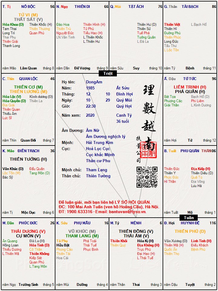 Hình ảnh