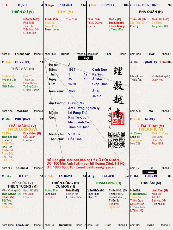 Hình ảnh
