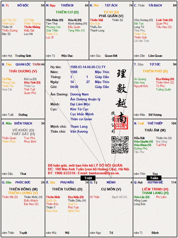 Hình ảnh