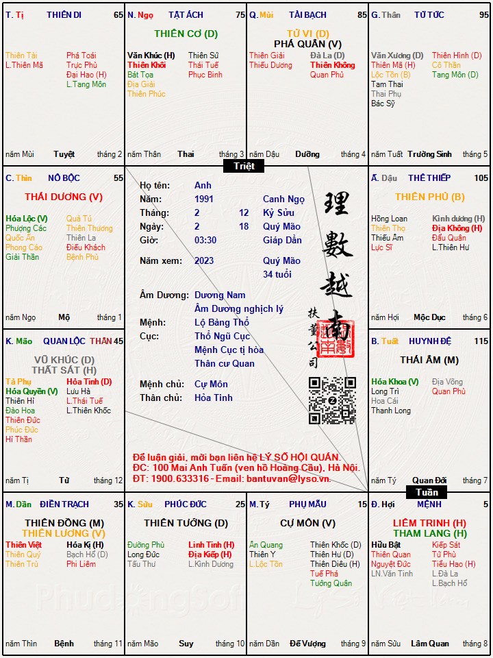 Hình ảnh