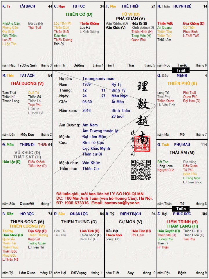 Hình ảnh