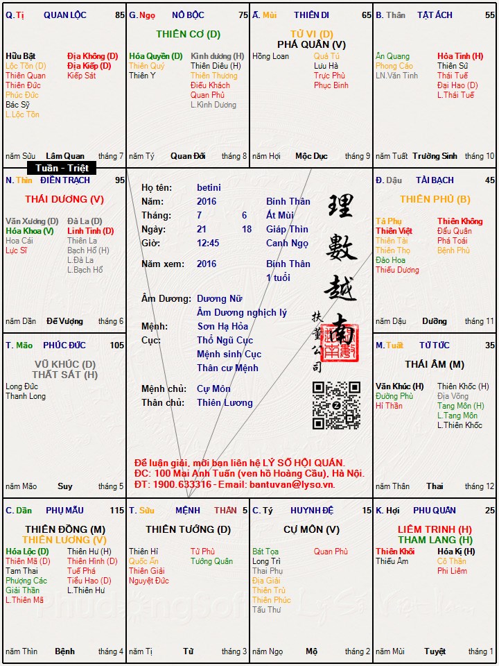 Hình ảnh