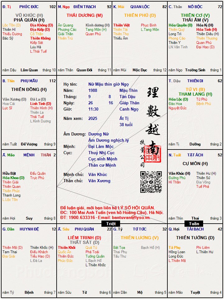 Hình ảnh
