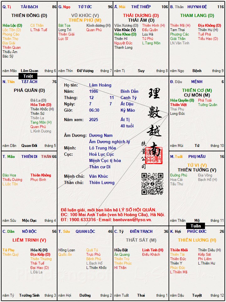Hình ảnh