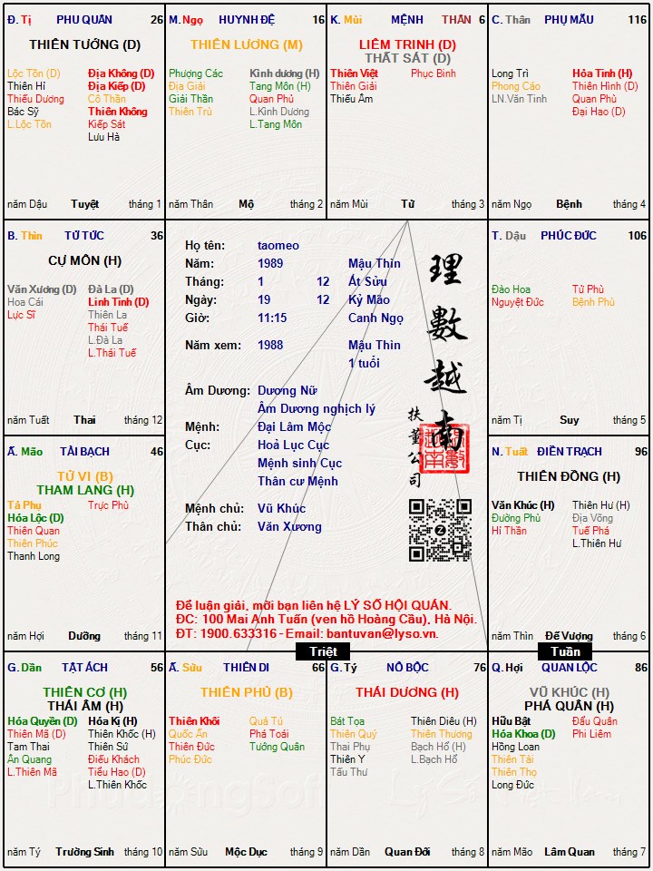 Hình ảnh