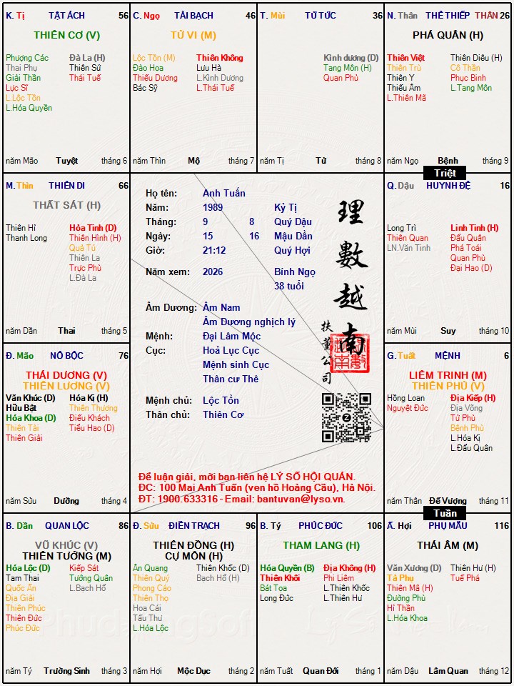 Hình ảnh