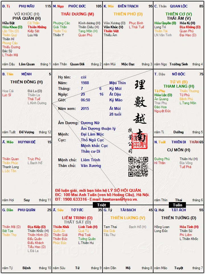 Hình ảnh