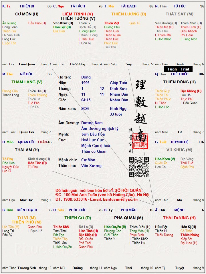 Hình ảnh