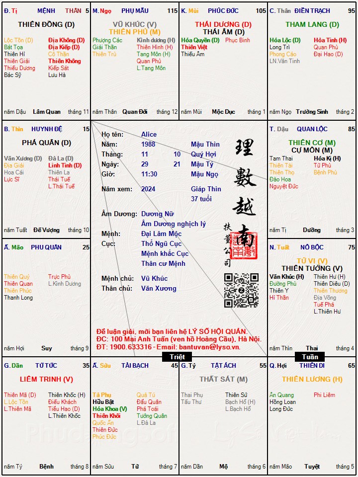 Hình ảnh